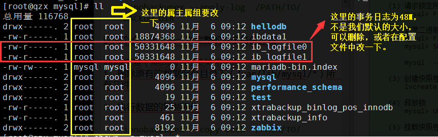 数据库的备份和恢复