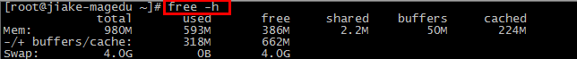 free命令的介绍及参数的详细分析